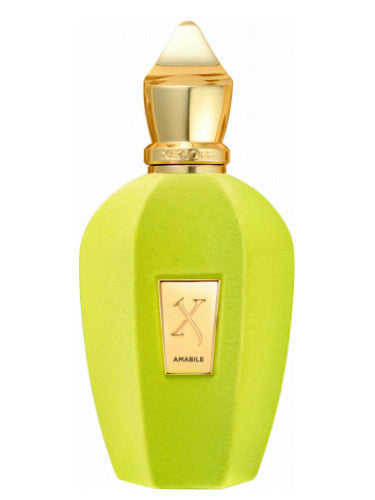 Xerjoff Amabile Unisex - edp 100ml