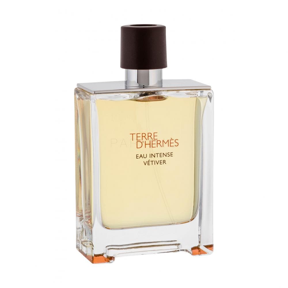 Terre d'Hermès Eau Intense Vétiver- edp 100ml